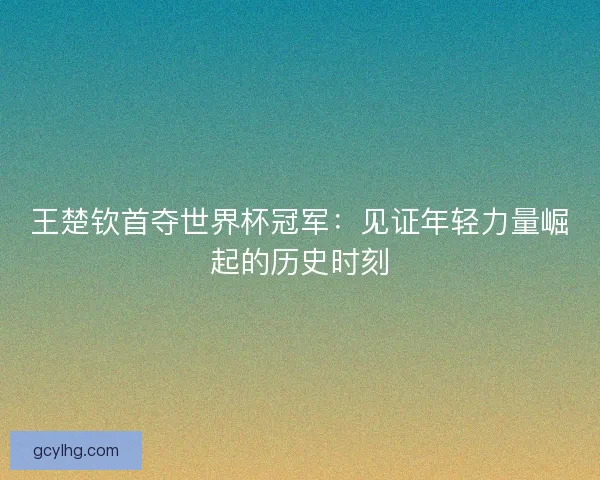 王楚钦首夺世界杯冠军：见证年轻力量崛起的历史时刻