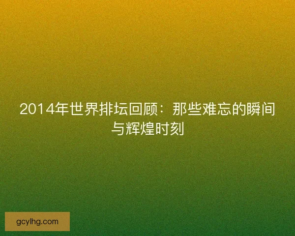 2014年世界排坛回顾：那些难忘的瞬间与辉煌时刻