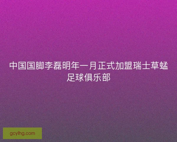 中国国脚李磊明年一月正式加盟瑞士草蜢足球俱乐部