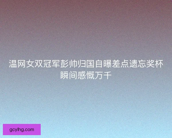 温网女双冠军彭帅归国自曝差点遗忘奖杯瞬间感慨万千